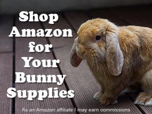 rabbit shopping